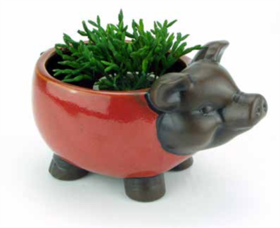 GLAZED CERAMIC PIG PLANTER - SMALL