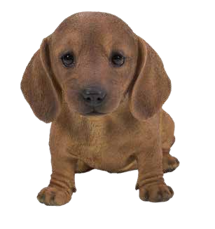 DACHSHUND PUPPY ORNAMENT